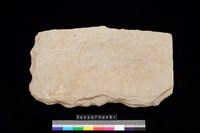 藏品(南端板)的圖片