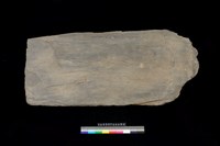 藏品(石板)的圖片