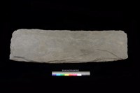 藏品(底板)的圖片