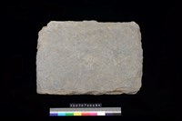 藏品(北端板)的圖片