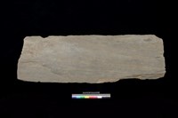 藏品(西側板)的圖片