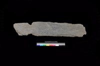 藏品(蓋板)的圖片