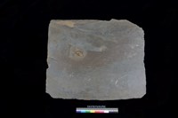 藏品(北端板)的圖片