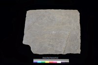 藏品(北端板)的圖片