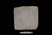 藏品(西側板)的圖片