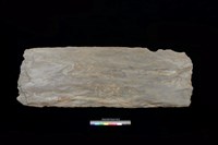 藏品(西側板)的圖片