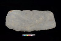 藏品(蓋板)的圖片