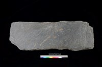 藏品(東側板)的圖片