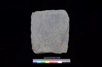 藏品(南端板)的圖片