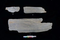 藏品(西側板)的圖片