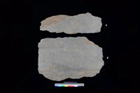 藏品(石板)的圖片