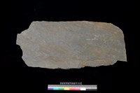 藏品(石板)的圖片