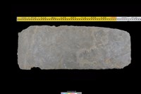 藏品(蓋板)的圖片