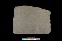 藏品(東側板)的圖片