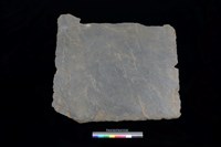 藏品(北端板)的圖片