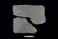 藏品(南端板)的圖片