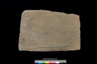 藏品(底板)的圖片