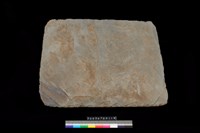 藏品(底板)的圖片