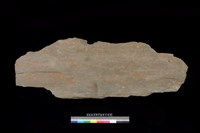 藏品(蓋板)的圖片