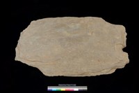 藏品(蓋板)的圖片