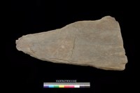 藏品(蓋板)的圖片