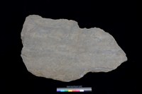 藏品(蓋板)的圖片