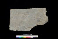 藏品(東側板)的圖片