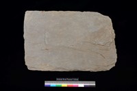 藏品(東側板)的圖片