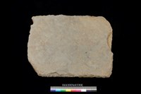 藏品(東側板)的圖片