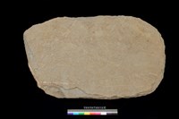 藏品(南端板)的圖片