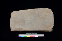 藏品(西側板)的圖片