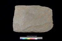 藏品(西側板)的圖片