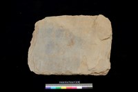 藏品(西側板)的圖片