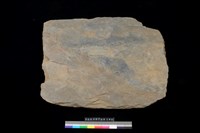 藏品(西側板)的圖片