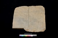 藏品(西側板)的圖片