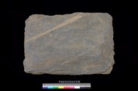 藏品(北端板)的圖片