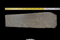 藏品(西側板)的圖片