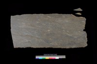 藏品(東側板)的圖片