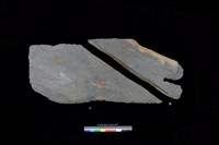 藏品(東側板)的圖片