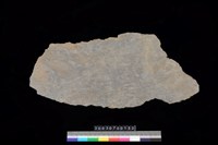 藏品(石板)的圖片