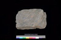 藏品(北端板)的圖片