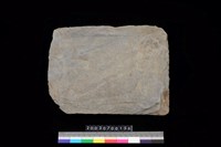 藏品(北端板)的圖片