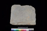 藏品(南端板)的圖片