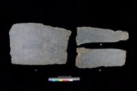 藏品(西側板)的圖片