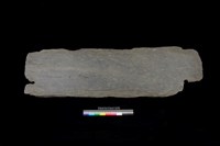 藏品(東側板)的圖片