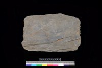 藏品(南端板)的圖片