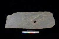 藏品(蓋板)的圖片