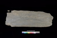 藏品(東側板)的圖片