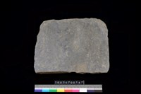 藏品(南端板)的圖片