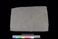 藏品(北端板)的圖片